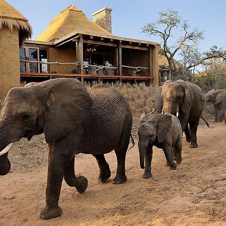 Jabulani Safari Villa Kapama Game Reserve Екстериор снимка