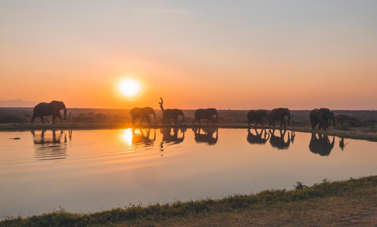 Jabulani Safari Villa Kapama Game Reserve Екстериор снимка