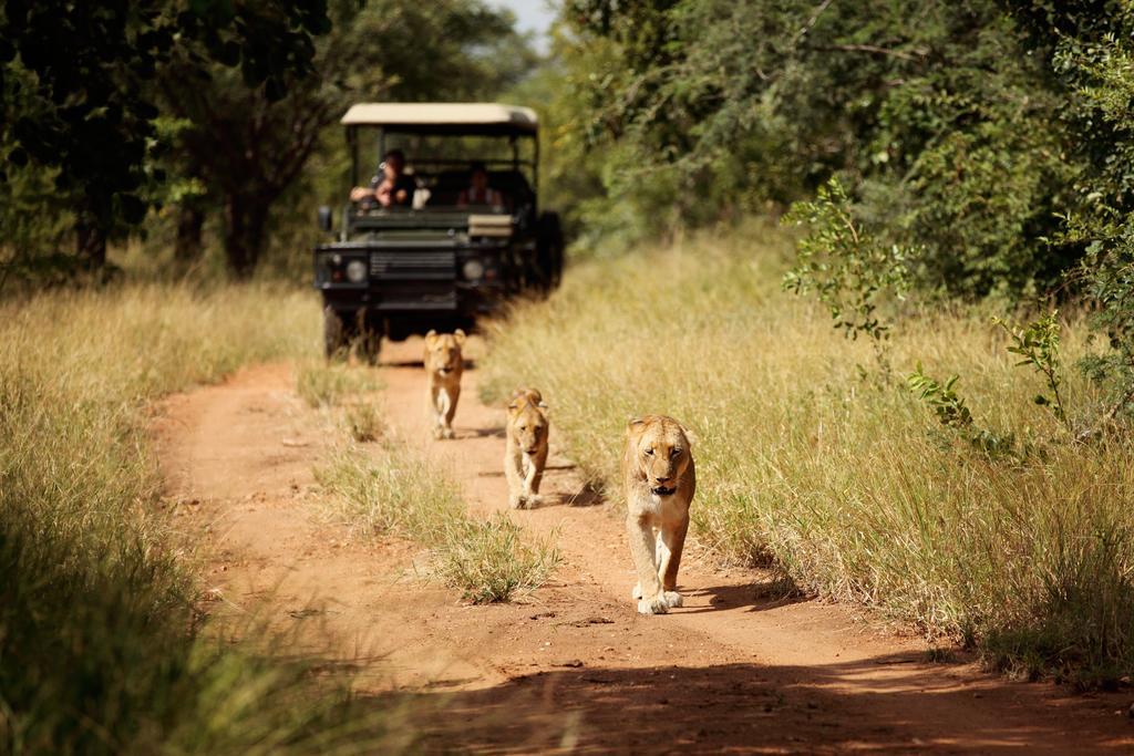 Jabulani Safari Villa Kapama Game Reserve Екстериор снимка