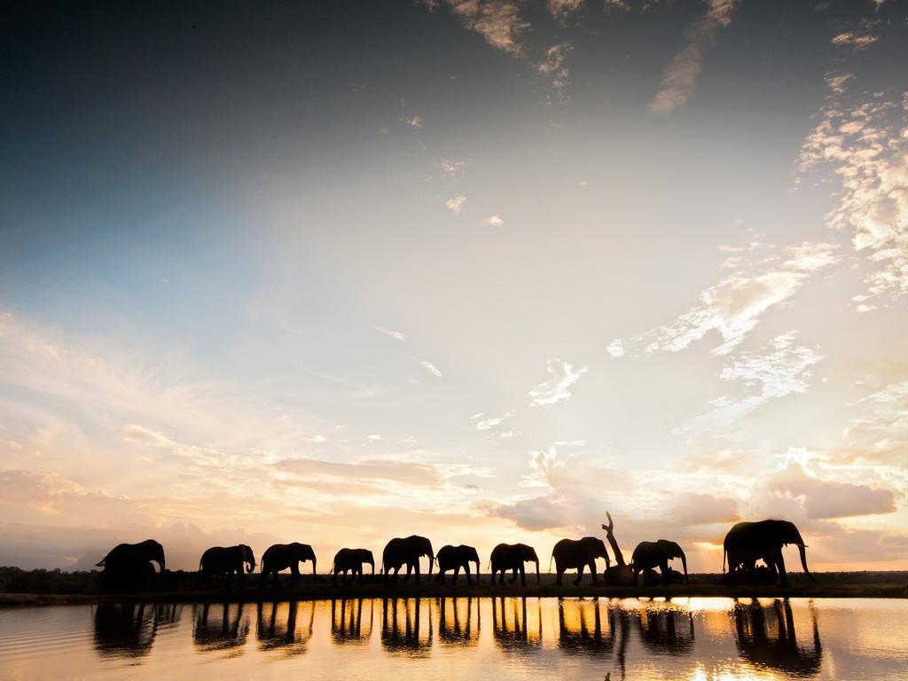 Jabulani Safari Villa Kapama Game Reserve Екстериор снимка