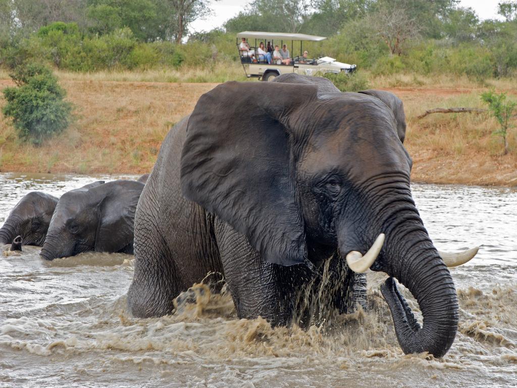 Jabulani Safari Villa Kapama Game Reserve Екстериор снимка