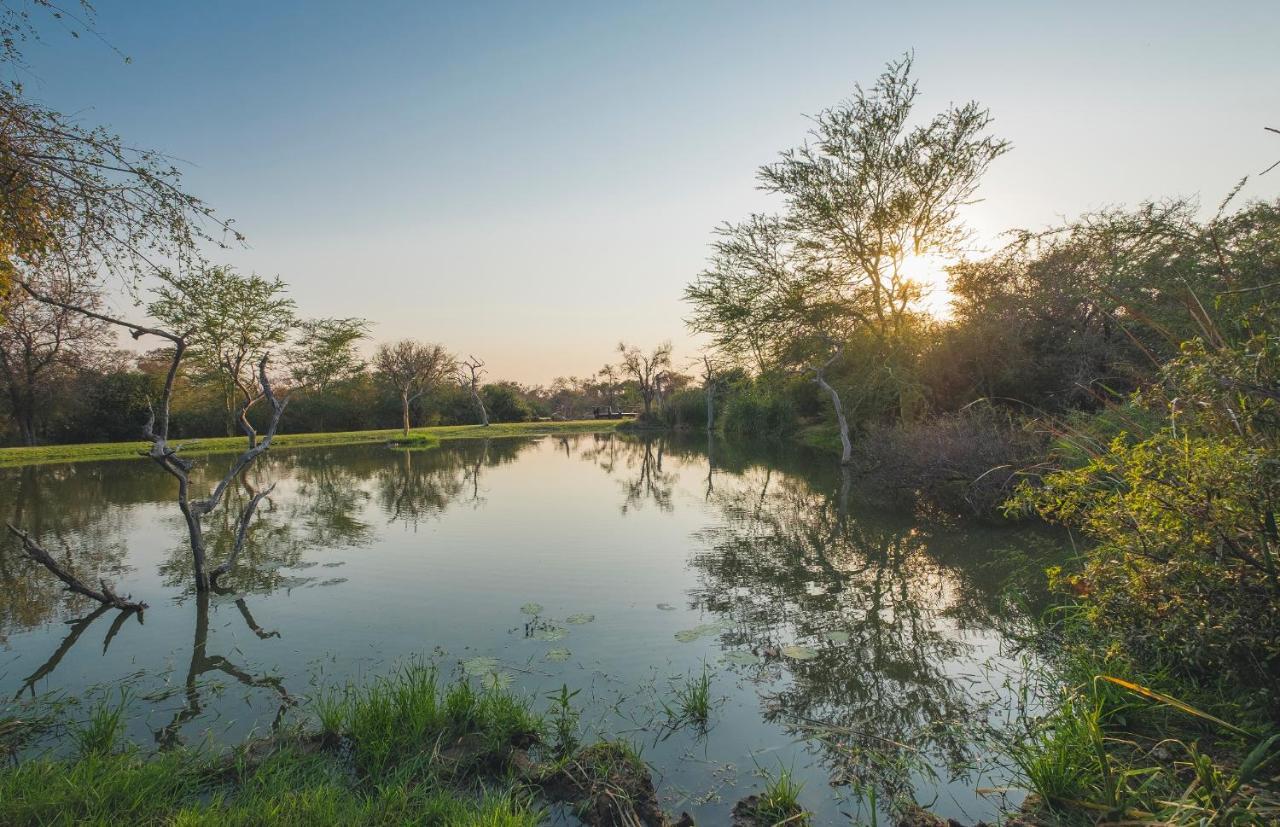 Jabulani Safari Villa Kapama Game Reserve Екстериор снимка